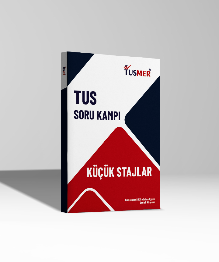 Küçük Stajlar - Soru Kampı Kitabı